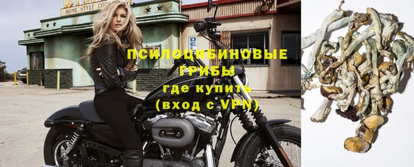 дживик Верея