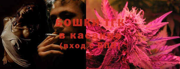 дживик Верея