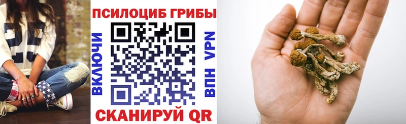 наркота  Отрадная  Псилоцибиновые грибы ЛСД 